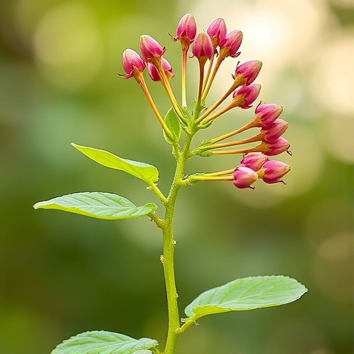 Flowering Plant Gene Regulation: Recruitment, Rewiring, Conservation