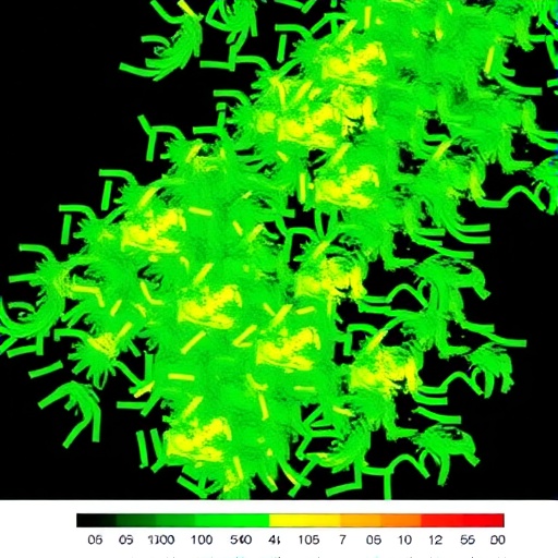 Haplotype-Resolved Pangenome Maps Barley Wild Relative