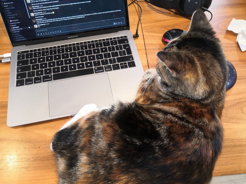 Spotlight on… Wenye, Back-end developer