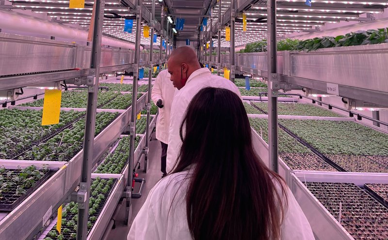 Diversity and inclusion at Octopus Energy
