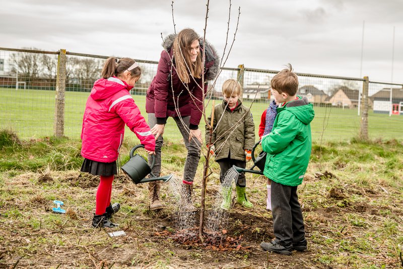 Follow us as we plant trees around the UK