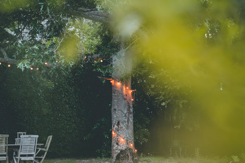The Definitive Guide To Creating An Amazing Outdoor