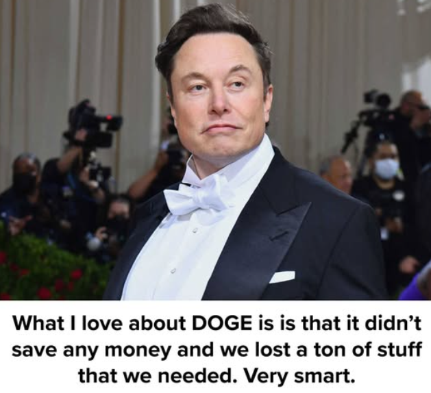 Looking Back on DOGE