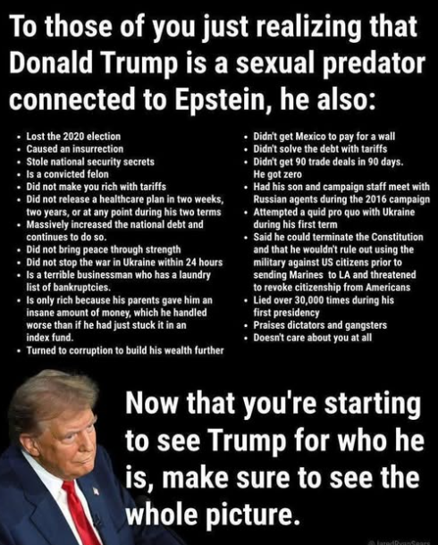 Why Are the Epstein Files the Straw that Broke the Camel’s Back? – 2GreenEnergy.com