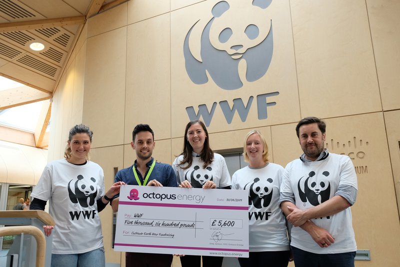 Donating to WWF after Earth Hour