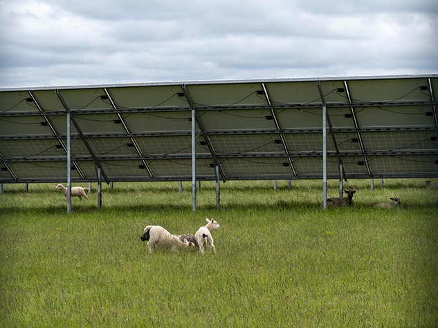 Co-op Community Energy | Octopus Energy