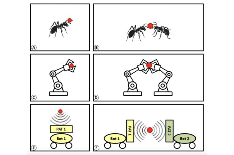 New system allows acoustic robots to co-operatively transport objects
