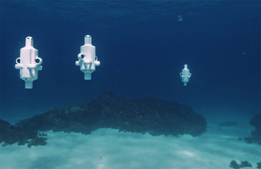 Inside Advanced Navigation’s coral loss discovery in the world’s southernmost reefs