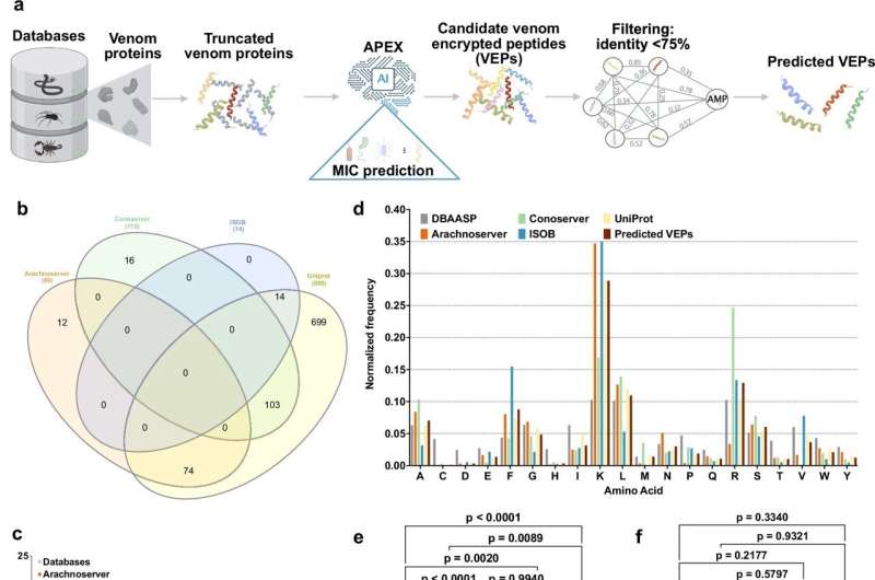 AI finds hundreds of potential antibiotics in snake and spider venom