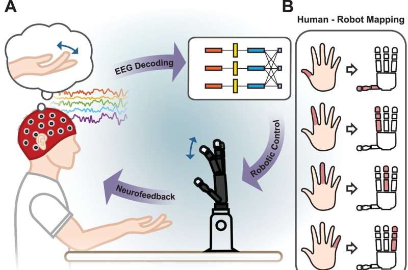 Brain-computer interface robotic hand control reaches new finger-level milestone