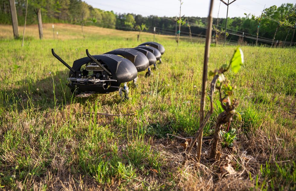 Giant Robotic Bugs: Farming’s New Revolution