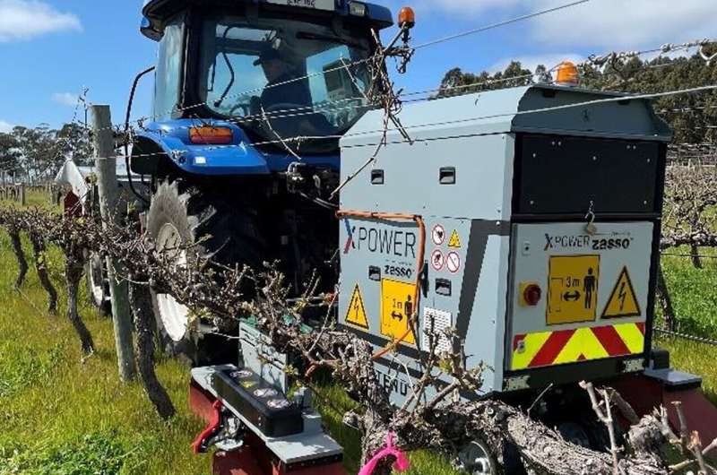 Electric weed control proves shockingly effective