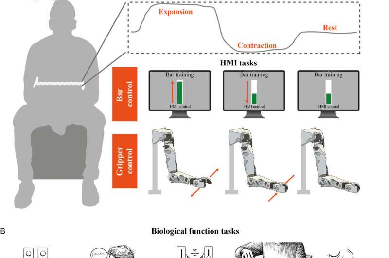 Exploring skill generalization with an extra robotic arm for motor augmentation