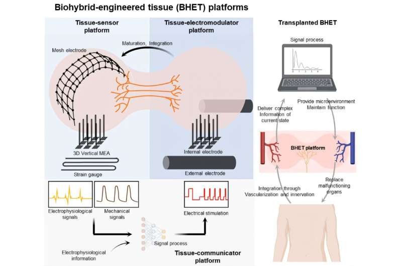 From passive to intelligent: Bioengineered organs meet electronics
