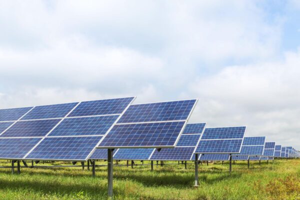 Is a Greener Future Ahead?