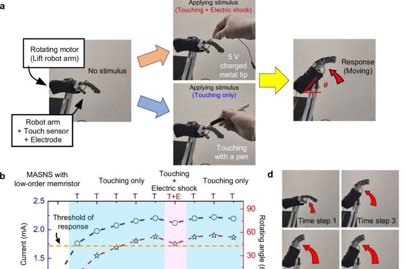 Robot hand ‘feels’ pain and ignores harmless touch with new sensory system