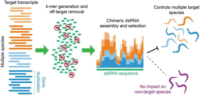Maxing out chemical-free crop protection with dsRNAmax