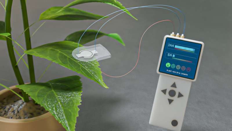 Minimally invasive sensor can detect stress to keep plants safe