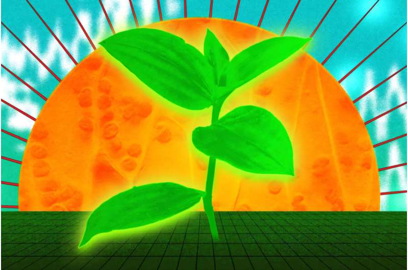 Mutagenesis technique boosts the efficiency of rubisco, a key enzyme in photosynthesis