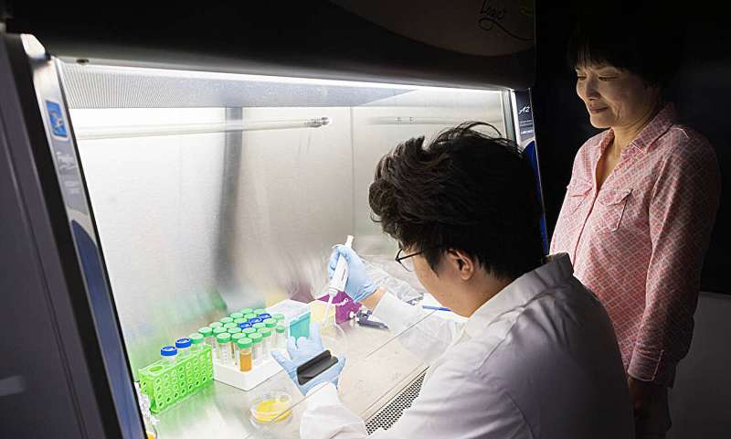 Researchers turn food waste into biodegradable plastic