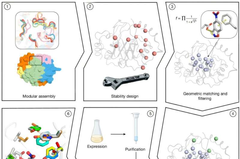 Scientists design stable enzymes for non-natural reactions with near-natural efficiency