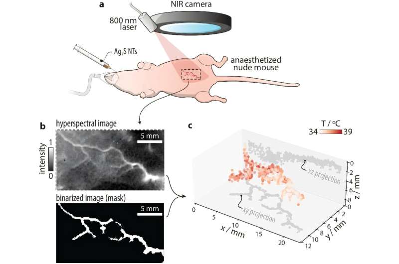 Scientists pioneer 3D temperature mapping inside living tissue using light and AI