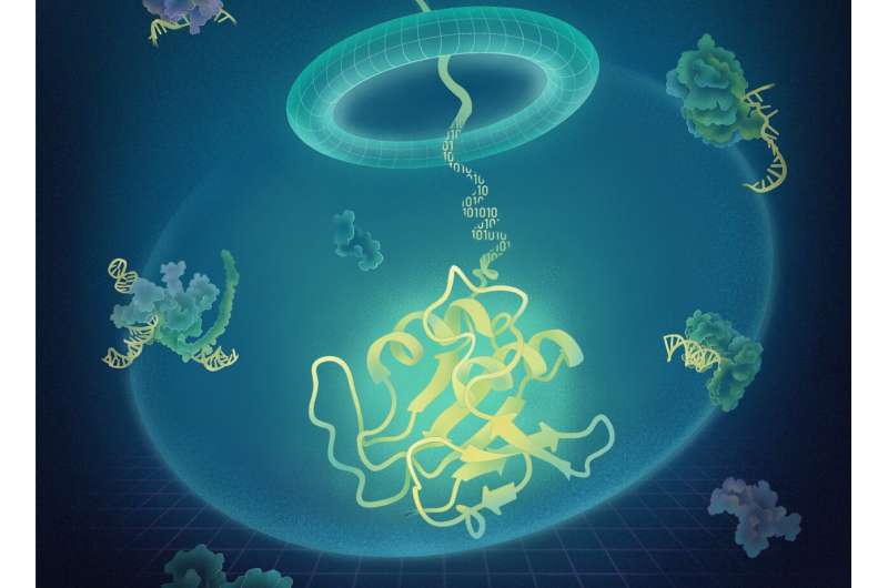 AI-powered strategy streamlines protein engineering by integrating structural and evolutionary constraints