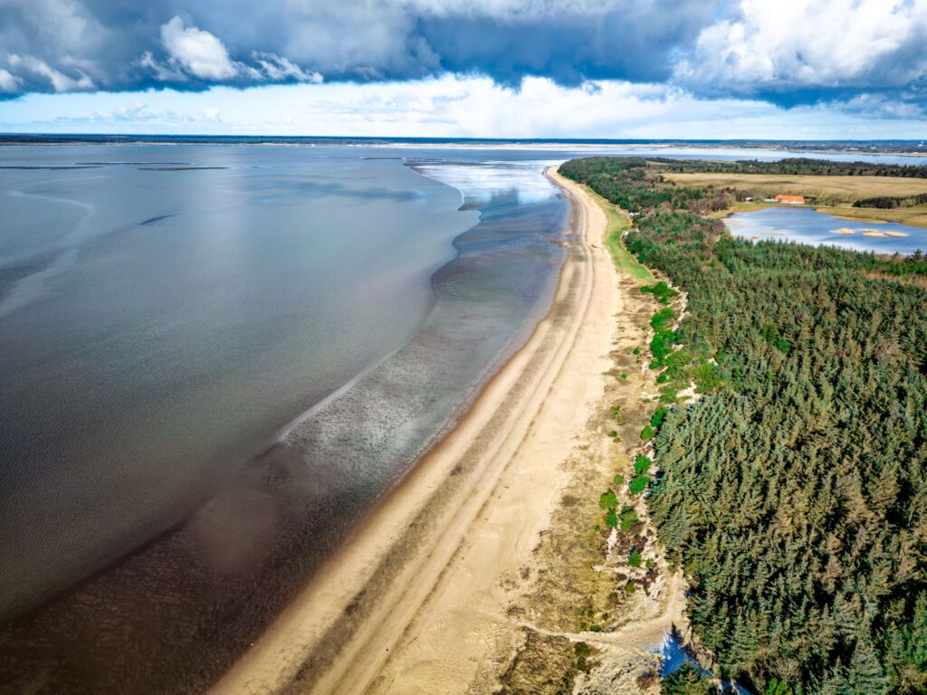 Denmark’s giant heat pump will heat 25,000 homes – with seawater