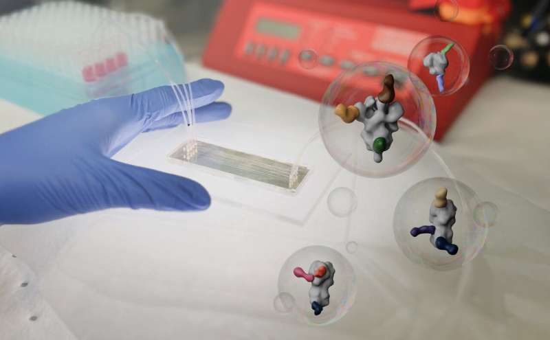 Antibody mapping chip speeds up vaccine research by revealing hidden binding sites quickly