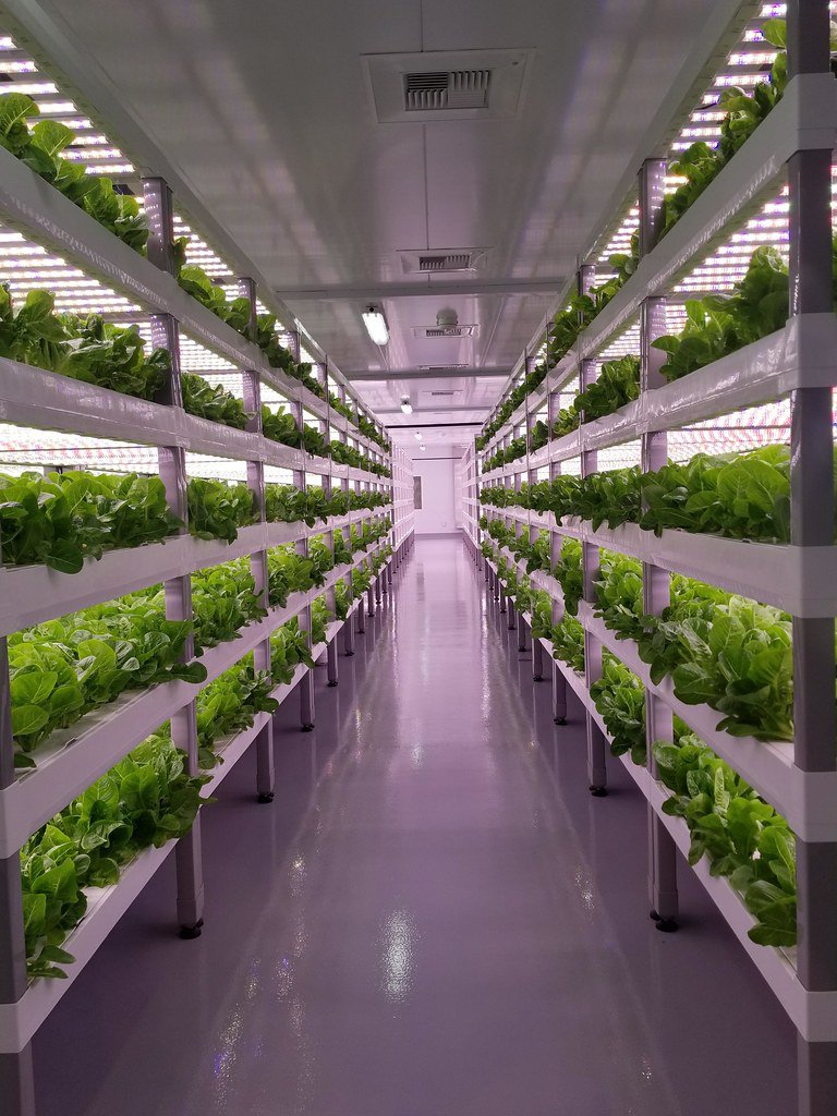 Reducing emissions for vertical farming