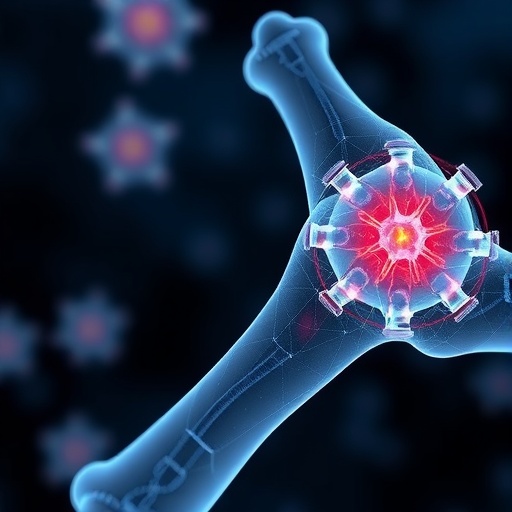 Magnesium Implants Boost Bone-Immune Health In Vitro